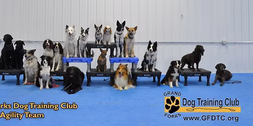 Fitness Foundations for Dogs with Darcy Roessler