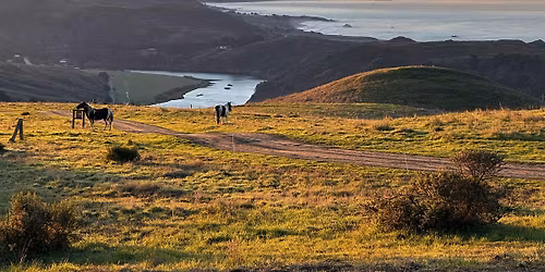 New Year's Sunrise Hike at Jenner Headlands Preserve