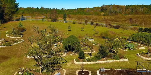 Walking with Wisdom: a silent walking meditation