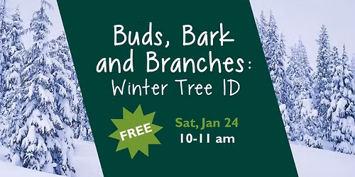 Buds, Bark and Branches: Winter Tree ID