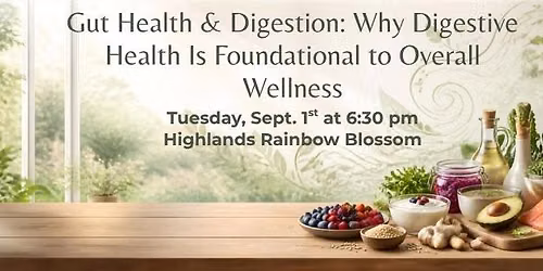 Gut Health & Digestion: Why Digestive Health Is Foundational to Overall Wellness