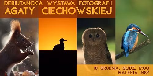 Wernisa\u017c fotografii Agaty Ciechowskiej