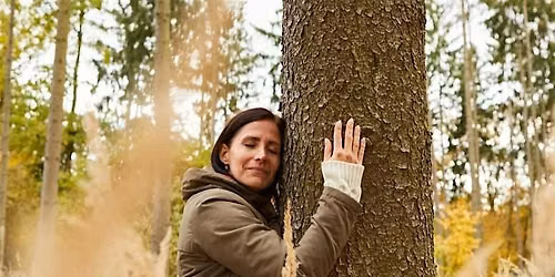 Friends Forest Bathing Experience
