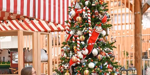 Christmas Opening