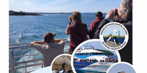 Petit Manan Island Seabird Cruise