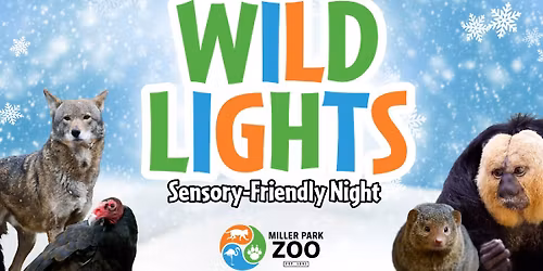 Wild Lights Sensory-Friendly Night