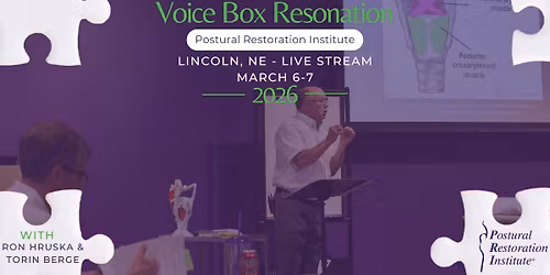 Voice Box Resonation