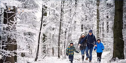 Winter Solstice Walk - Family program, $4 per person upon arrival