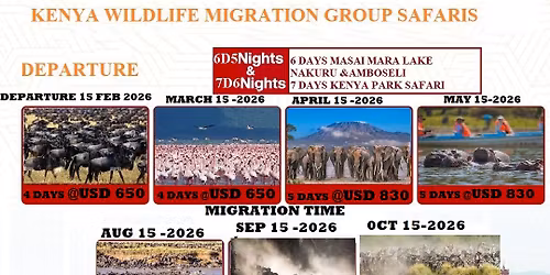 MASAI MARA GROUP SAFARI