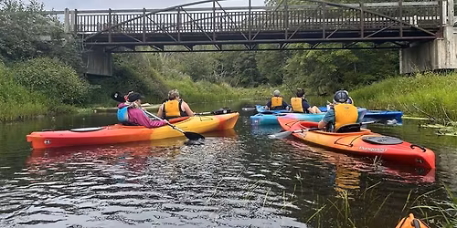 Paddle the Pigeon