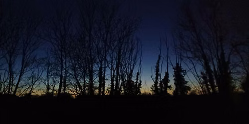 Wild in the Meadows (Trumpington Meadows): Family night walk