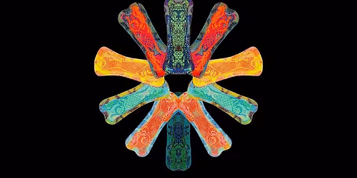 Nicky Riding's Knowledge Gig