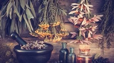 Herbal Medicine Making