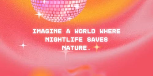 \ud83c\udf34 PALMERA \u2013 A Tropical Heartbeat in Midwinter