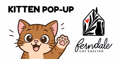 Kitten Pop Up