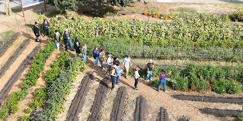 Three Sisters Gardens November Skills Share