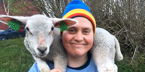 Strick im Kino #16: Woolly - Schaf dir das Gl\u00fcck | Kino Intimes Berlin