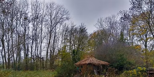 Green Friday! Wellbeing Nature Walkshop