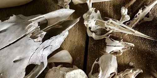 The Way of the Hollow Bone