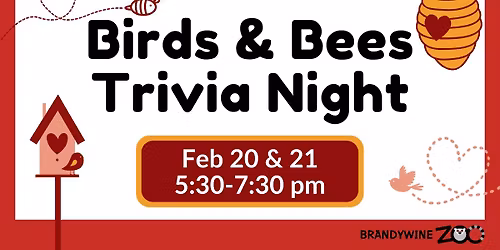 Birds & Bees Trivia Night