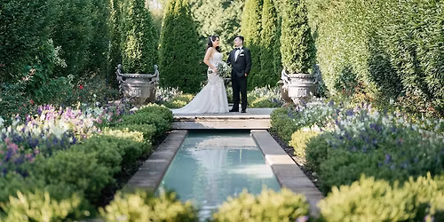 Parking Camelot - Northport