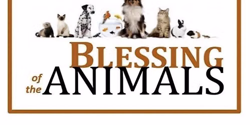 Outdoor Blessing of Animals