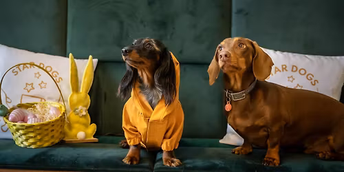 H\u00fasv\u00e9ti fot\u00f3z\u00e1s