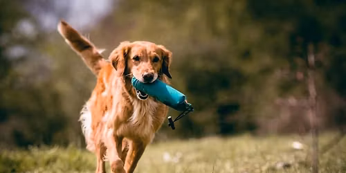 Workingtest Bayrisches Land