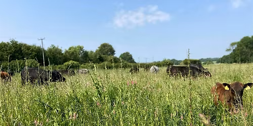 Climate Resilience Through Regenerative Farming