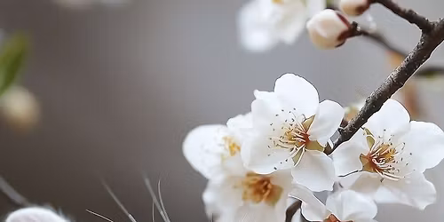 FSRCBA CONVENTION - WE WORK HARD FOR THE BUNNY