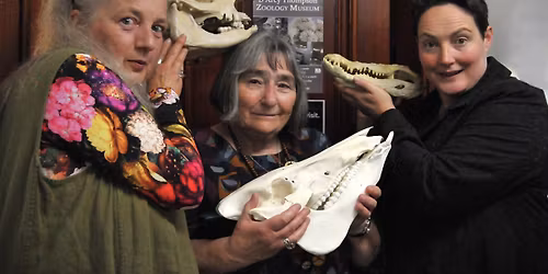 Bones, Birds & Beasties