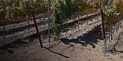 Fess Parker Wine Dinner