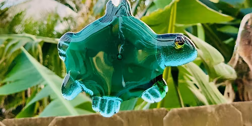 Glass Turtle Workshop