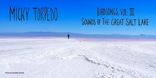 Birdsongs, Vol 3 - Sounds Of The Great Salt Lake - Album Release Show