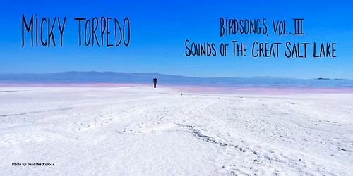 Birdsongs, Vol 3 - Sounds Of The Great Salt Lake - Album Release Show