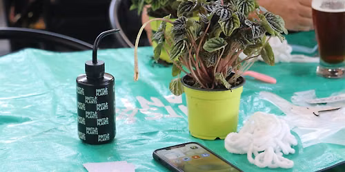 Pints & Plants: Rooted at The Hut