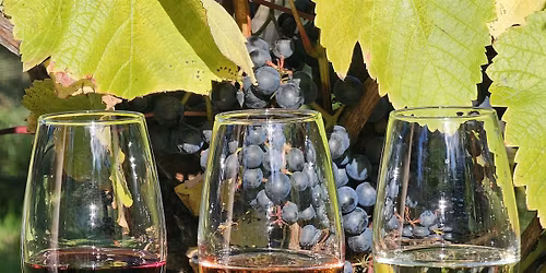 HILLY HIKE 16km The Hidden Valleys, Vineyards and Tudor Palaces of Kent