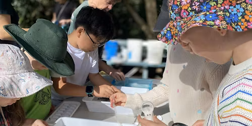 Mission: Mozzie - uncover the secret life of mosquitos!