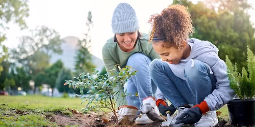 Healthy Lamoille Valley Coalition Meeting