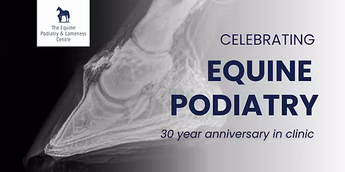 Celebrating Equine Podiatry in the Upper Hunter