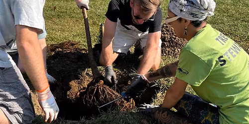 Shade the Street: Broadview Road Tree Planting