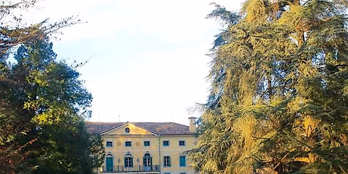 Yoga nel parco secolare di Villa Rubini