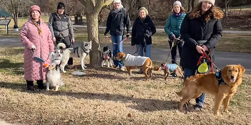 Saturday Stroll 12\/13