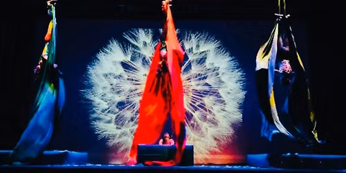 Four Seasons Aerial Silks Show