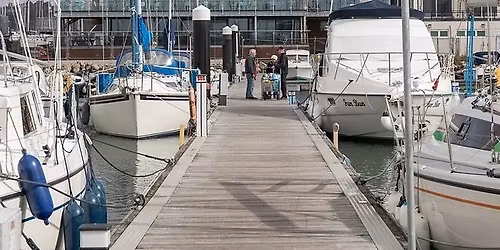 Wessex Section / Festive Lunch - In-person