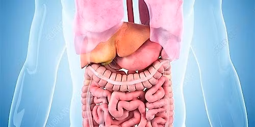 Critical Care Surgical Study day