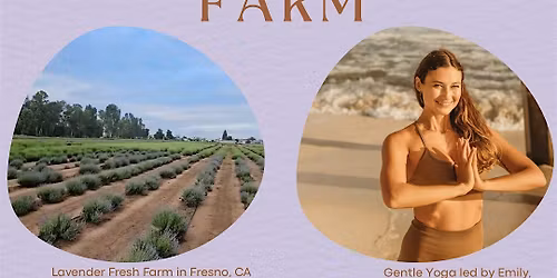 Gentle Yoga at Lavender Fresh Farm - June 14th