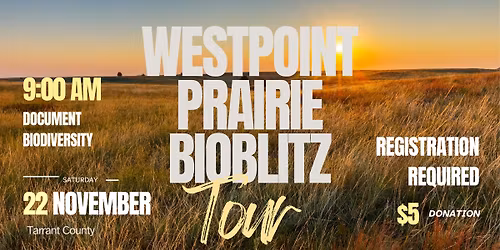 Westpoint Prairie Bioblitz