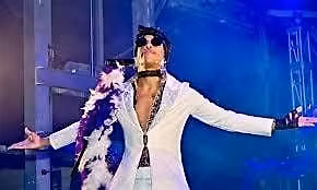 Purple Madness Prince Tribute