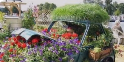 Charity Plant Sale